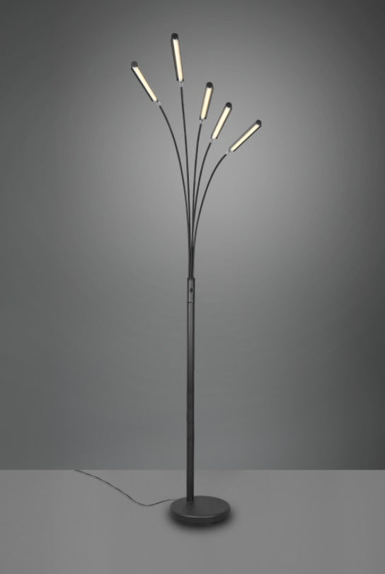 Tara Vloerlamp LED Zwart 5-lichts