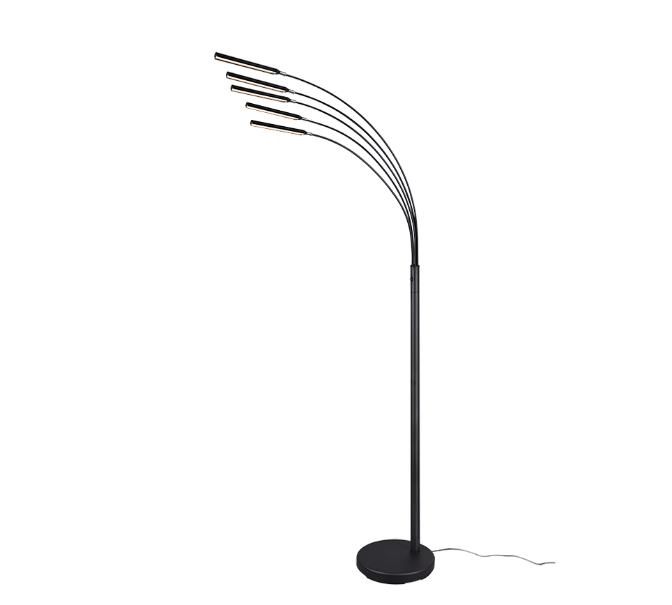 Tara Vloerlamp LED Zwart 5-lichts