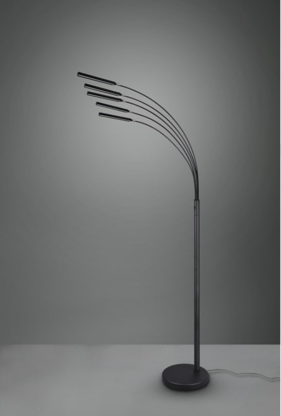 Tara Vloerlamp LED Zwart 5-lichts